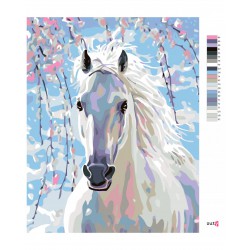 Malování podle čísel - Bílý kůň, bez rámu