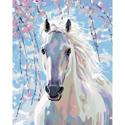 Malování podle čísel - Bílý kůň, na rámu