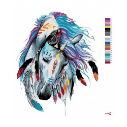 Malování podle čísel - Indiánský kůň, na rámu