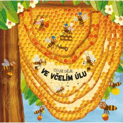 Knížka Co se děje ve včelím úlu
